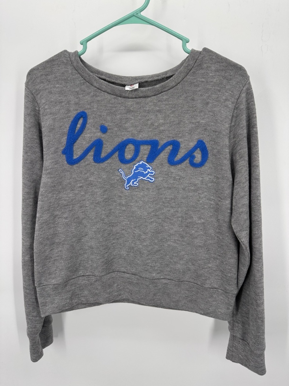 Detroit Lions Sweatshirt Womens Large Grey NFL Football Crewneck Shirt